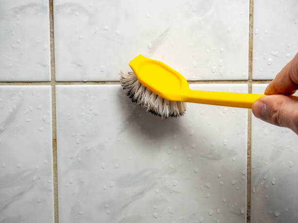 Best Mold Cleaning Services  in Richmond Heights, FL