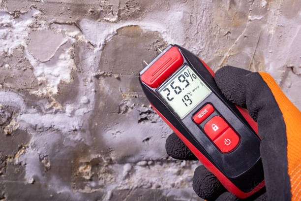 Best Residential Mold Removal  in Richmond Heights, FL