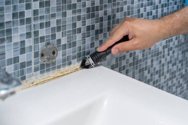 Best Toxic Mold Removal  in Richmond Heights, FL